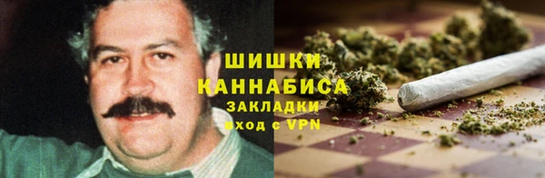 прущие крисы Каменка