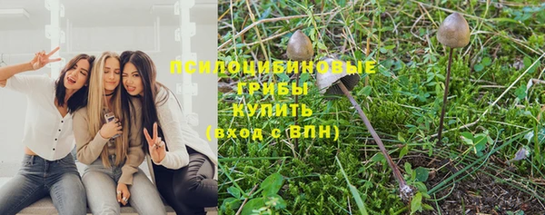 прущие крисы Каменка