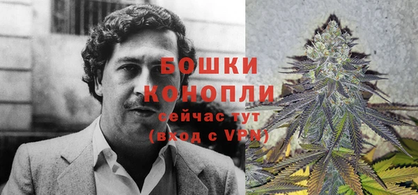 альфа пвп Каменногорск