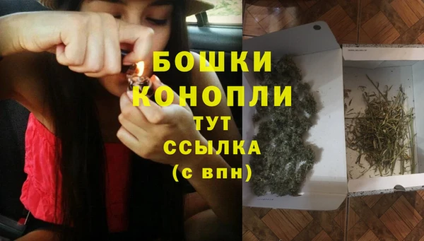 прущие крисы Каменка