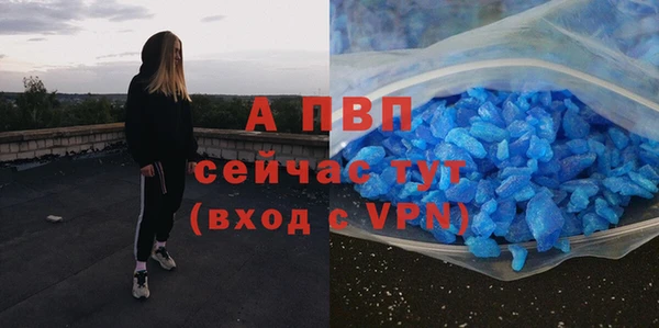 прущие крисы Каменка