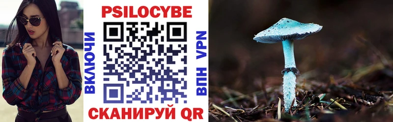 Купить закладки  Барнаул  Галлюциногенные грибы Cubensis 